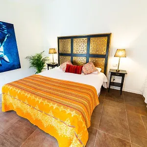  Hotel Flor De Mandarina Spagna